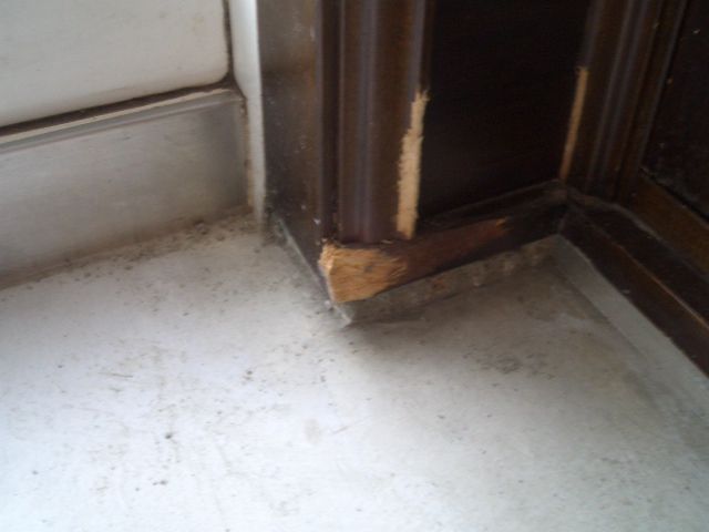 11-1　ペットかじり傷補修