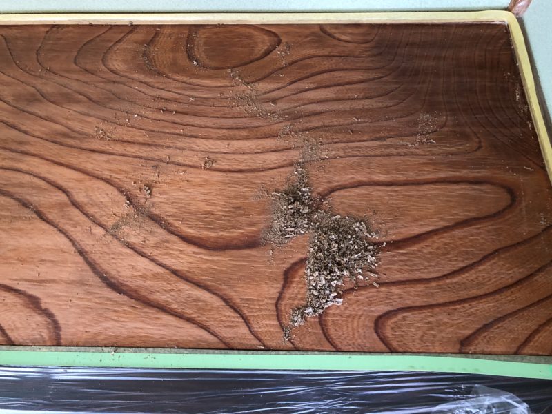 18-46  地板シミ補修