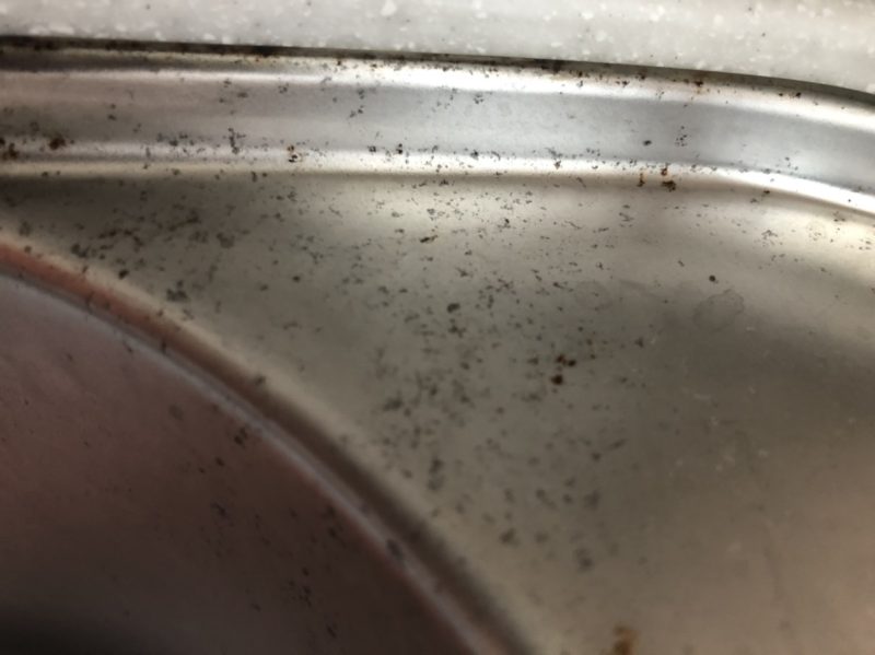 20-03 シンクサビ 除去 西宮市