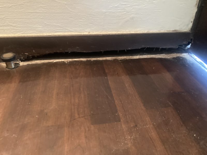 23-115 巾木 シロアリ被害