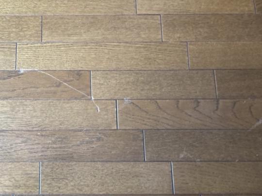 23-99 フロアーキズ補修