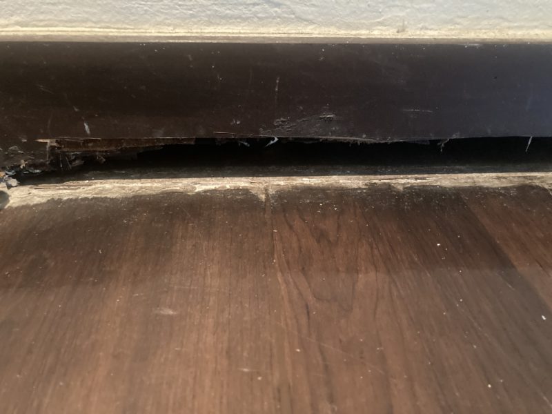 23-115 巾木 シロアリ被害