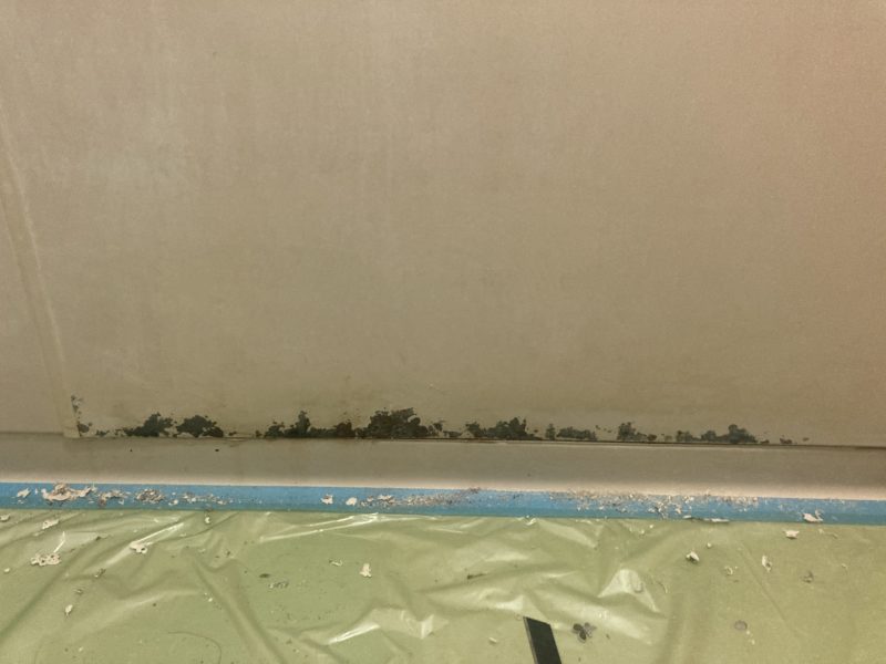 24-82 浴室パネル 腐食