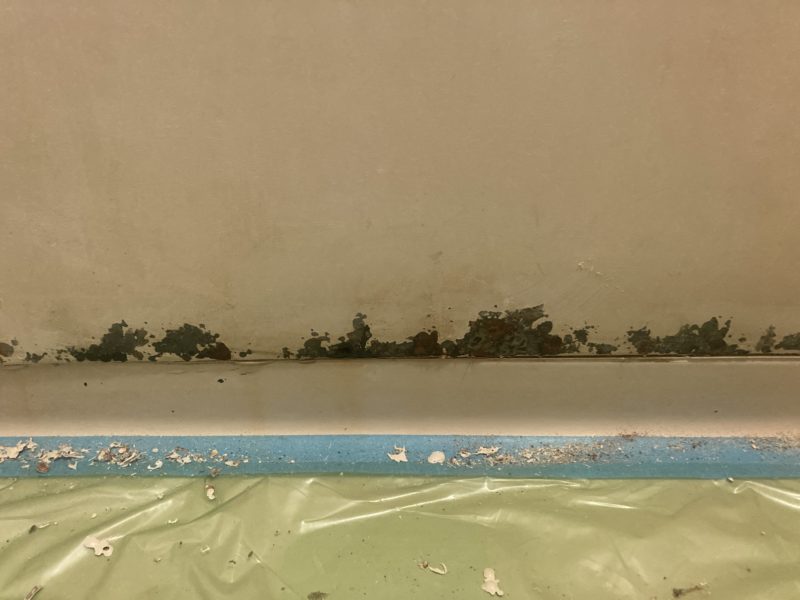 24-82 浴室パネル 腐食