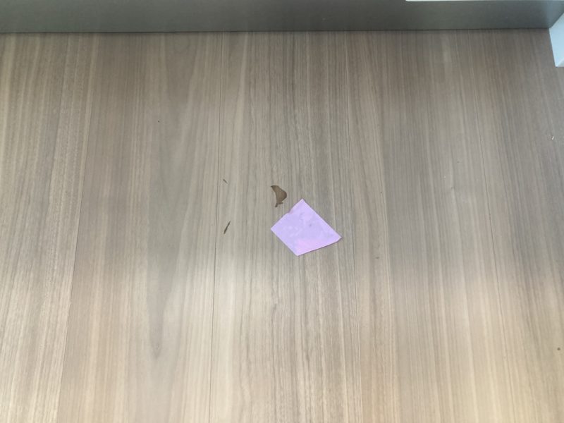 24-116 フロアーシミ補修